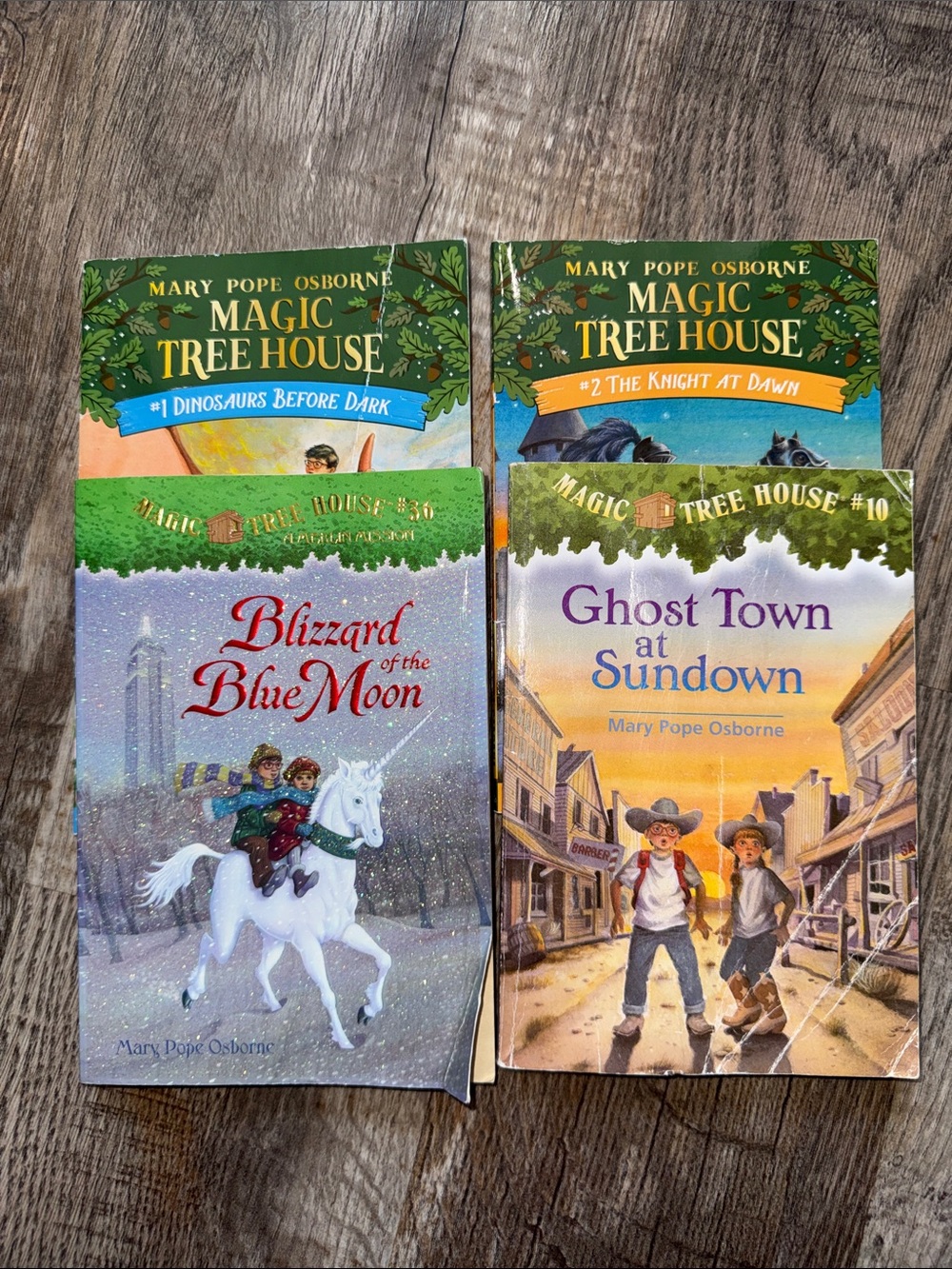 Mary Pope Osborne Magic Tree House Book Set - Green-Accented Covers